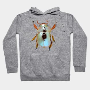 Rainbow Scarab Beetle Hoodie